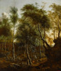 Forest landscape  Poster Print by Frederik de Moucheron