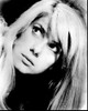 Catherine Deneuve Close Up Black And White Photo Print