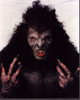 Gary Oldman As Wolf In Bram Stoker'S Dracula Photo Print