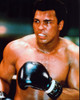 Muhammad Ali Boxing With Black Gloves Photo Print