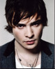 Ed Westwick Headshot In Gray Jacket Photo Print