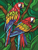 Parrot B Poster Print by Jeff Maraska (18 x 24) - Item # PAIJM007