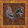 Rooster 3 Poster Print by Jeff Maraska (12 x 12) - Item # PAIJM013