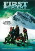 First Descent Movie Poster (11 x 17) - Item # MOV405437