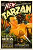 The New Adventures Of Tarzan Herman Brix [Aka Bruce Bennett] 1935 Movie Poster Masterprint - Item # VAREVCMSDNEADEC004H