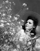 Linda Darnell 1943 Photo Print - Item # VAREVCPBDLIDAEC032H