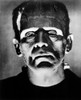 Bride Of Frankenstein Photo Print - Item # VAREVCMBDBROFEC153