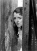 State Fair Janet Gaynor 1933 Tm And Copyright 20Th Century-Fox Film Corp. All Rights Reserved Photo Print - Item # VAREVCMBDSTFAEC006H