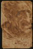 Head Of An Old Man And Sketches Of A Mechanical Device Poster Print - Item # VAREVCMOND029VJ537H