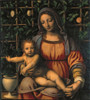 Luini Bernardino Madonna And Child 1505 - 1510 16Th Century Oil On Poplar Wood Italy Lombardy Milan Brera Art Gallery Everett CollectionMondadori Portfolio Poster Print - Item # VAREVCMOND035VJ475H