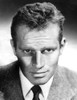 Charlton Heston Ca 1954 Photo Print - Item # VAREVCPBDCHHEEC056H
