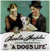 A Dog'S Life Movie Poster Masterprint - Item # VAREVCMMDDOLIEC001
