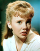 Hayley Mills Ca. Mid-1960S Photo Print - Item # VAREVCP8DHAMIEC001H