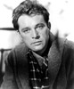 Look Back In Anger Richard Burton 1958 Photo Print - Item # VAREVCMBDLOBAEC036H