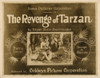 The Revenge Of Tarzan Lobbycard Gene Pollar 1920 Movie Poster Masterprint - Item # VAREVCMCDREOFEC295H