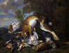 Still Life Poster Print - Item # VAREVCMOND076VJ706H