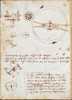 Page From The Codex Regarding The Flight Of Birds Poster Print - Item # VAREVCMOND027VJ847H