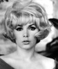 Stella Stevens 1967 Photo Print - Item # VAREVCPBDSTSTEC001H