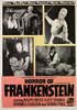 Horror Of Frankenstein Fine Art Print - Item # VAREVCMCDHOOFEC325