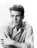 Warren Beatty Photo Print - Item # VAREVCPBDWABEEC033H