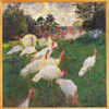 The Turkeys Poster Print - Item # VAREVCMOND025VJ686H