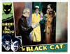 The Black Cat Movie Poster Masterprint - Item # VAREVCMMDBLCAEC003H