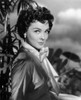 The Desert Song Kathryn Grayson 1953 Photo Print - Item # VAREVCMBDDESOEC016H