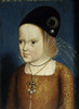 Flemish School Poster Print