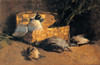 Previati Gaetano Still Life With Pigeons 1884 20Th Century Oil On Canvas Italy Private Collection Everett CollectionMondadori Portfolio Poster Print - Item # VAREVCMOND037VJ106H