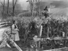 The Wizard Of Oz Photo Print - Item # VAREVCMBDWIOFEC209