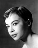 Leslie Caron Ca. 1955 Photo Print - Item # VAREVCPBDLECAEC004H