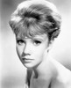 The Chalk Garden Hayley Mills 1964 Photo Print - Item # VAREVCMBDCHGAEC029H
