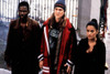http://c328301.r1.cf1.rackcdn.com/EVCMSDDOGMEC003HLARGE.jpg