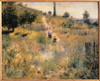 Pathway Through Tall Grass Poster Print - Item # VAREVCMOND025VJ553H