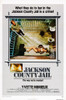 Jackson County Jail Us Poster Art 1976. Movie Poster Masterprint - Item # VAREVCMMDJACOEC002H