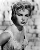 Stella Stevens 1960 Photo Print - Item # VAREVCPBDSTSTEC004H