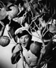 Who Done It? Benny Hill 1956 Photo Print - Item # VAREVCMBDWHDOEC031H