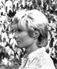 Le Boucher Stephane Audran 1970 Photo Print - Item # VAREVCMBDBUTCEC005H