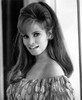 Raquel Welch 1960S Photo Print - Item # VAREVCPBDRAWEEC023H