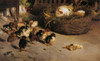 Death Of A Chick Poster Print - Item # VAREVCMOND075VJ415H