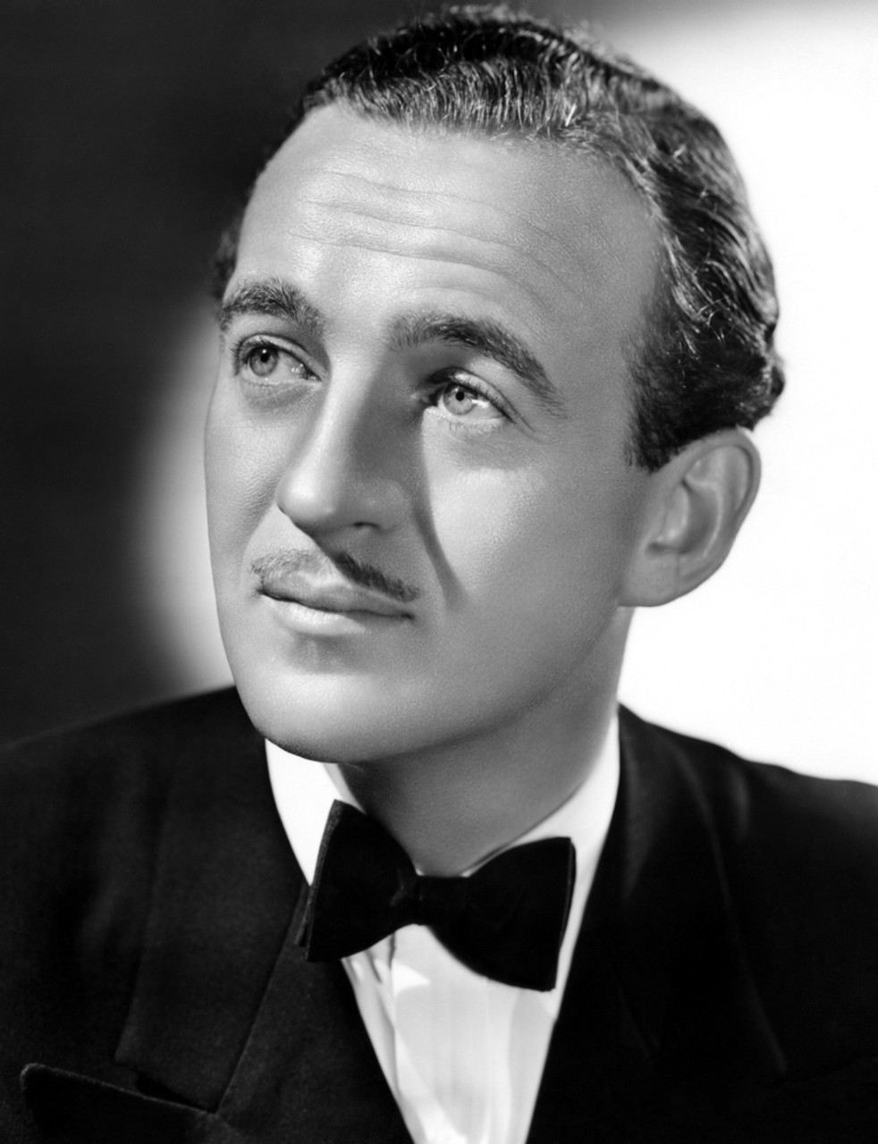 David Niven, English Gent Poster for Sale by AndythephotoDr