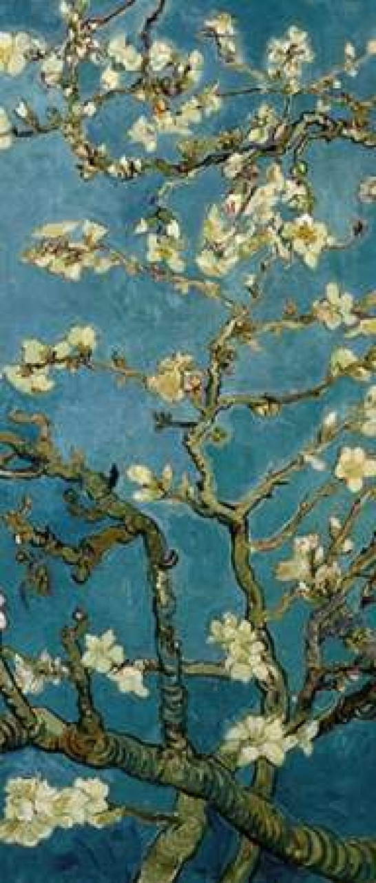 Almond Blossom - Vincent Van Gogh - Paint by Numbers