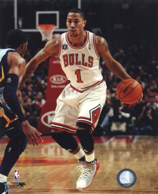 derrick rose 2010-11