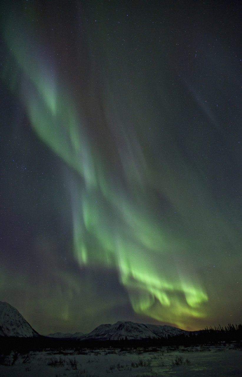 Aurora Hunting - Northern Lights Viewing in Whitehorse, Yukon