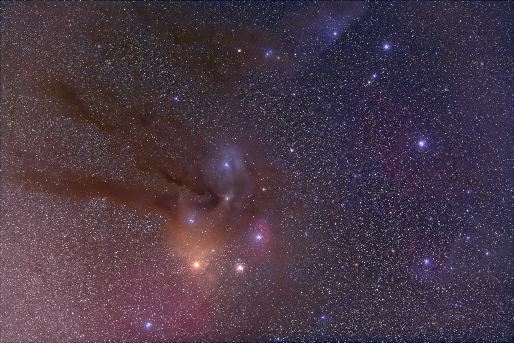 poster antares 2