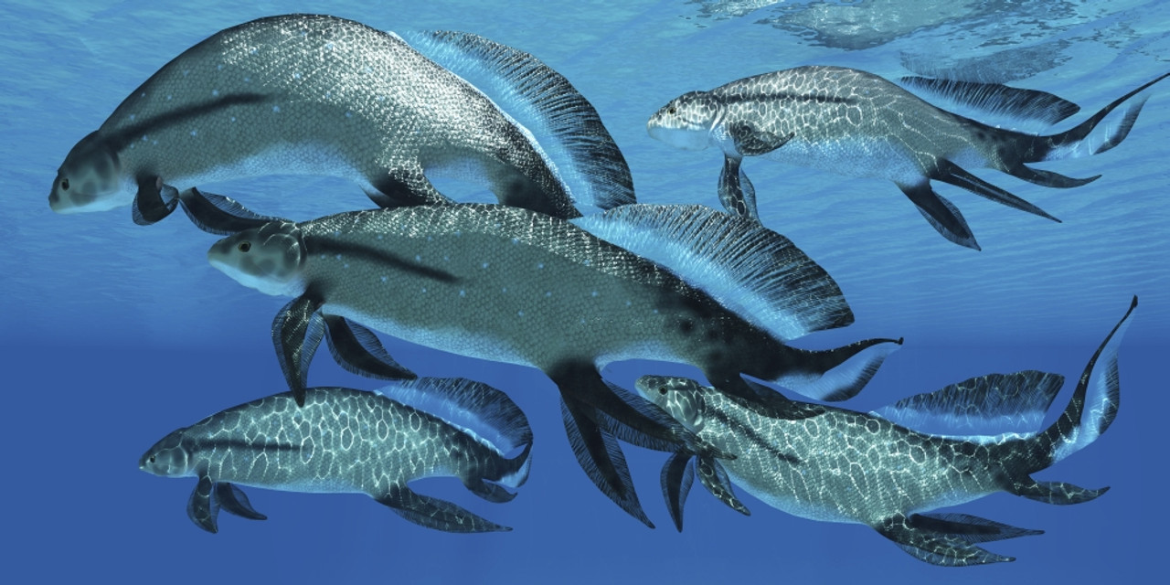 devonian animals