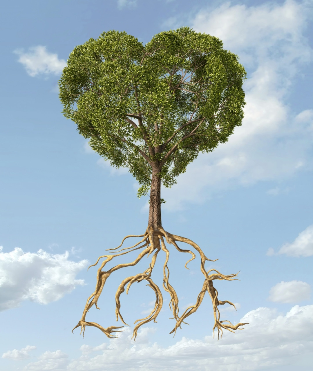 tree with roots and heart