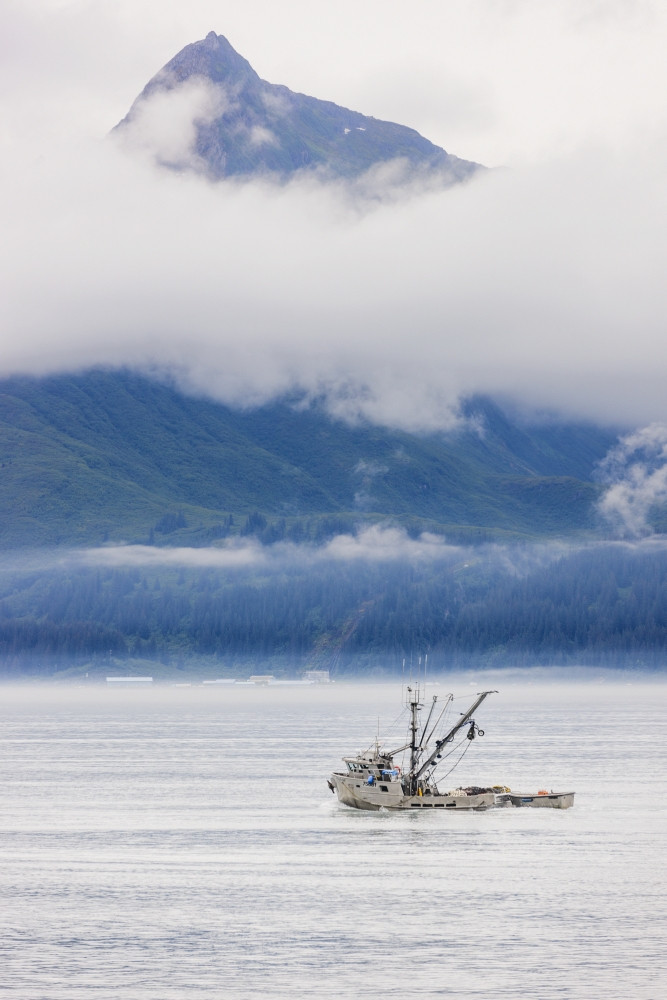 commercial salmon fishing boats