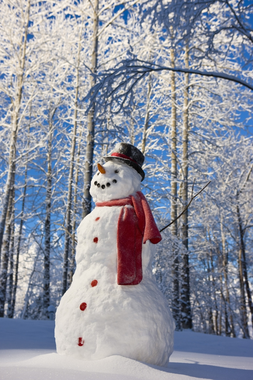 Snowman With Red Scarf And Black Top Hat Standing In Front