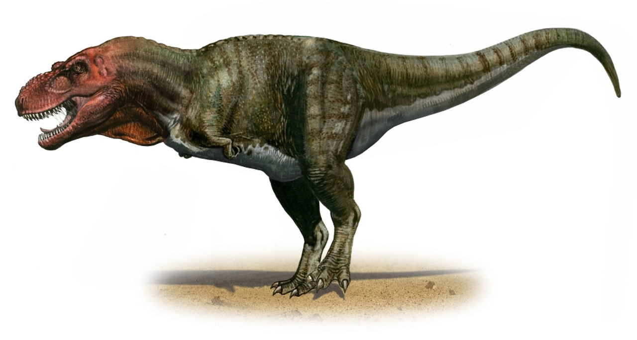 tyrannosaurus period